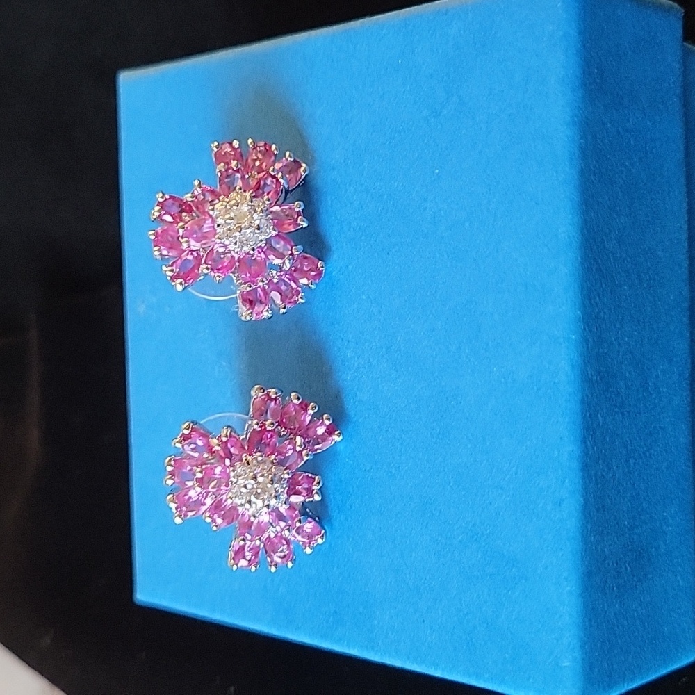 Silver Plated Earrings